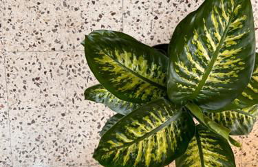 Casa Myrina - Photo 27