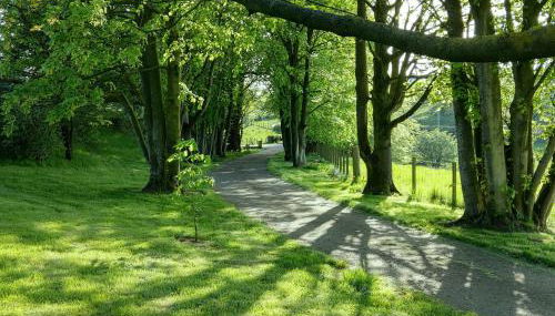 Family and dog friendly stunning barn conversion - Foto 5