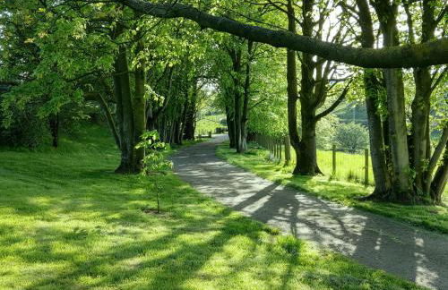 Family and dog friendly stunning barn conversion - Foto 5