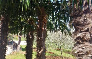 Villa Lara - Foto 72