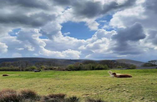 Owl Cabin - Photo 45