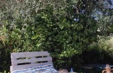 Casa Rural La Higuera - Foto 3