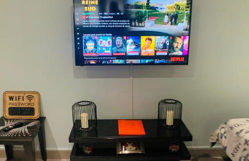 Appartement cosy proche Roissy CDG Astérix DisneyLand Paris - Foto 16