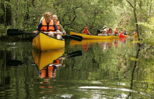 Equestrian Retreat - Foto 68