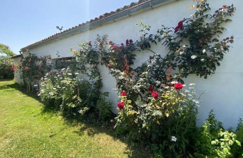 Le Moulin de la Boire, exceptionnel pour 12 personnes - Foto 16