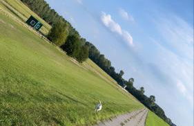 Strandhaus Nina - Ferienhaus Hooksiel - Foto 29