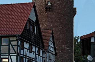 Froschkönig mit Teichblick - Photo 25