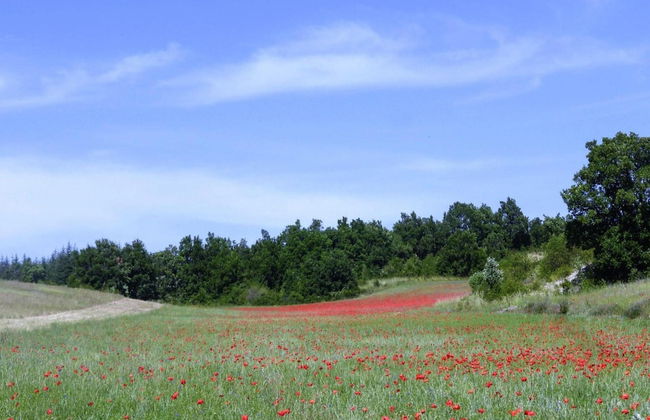 Holiday Home in Revest With Garden - Foto 28