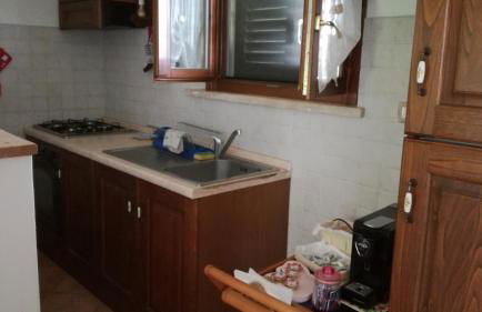 Agriturismo cavallin del papa - Foto 10