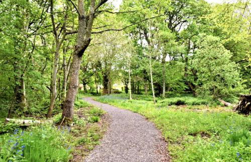 3 Bed in Turriff oc-75489 - Foto 25