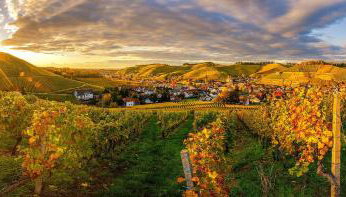 Alm-Atelier - Foto 2