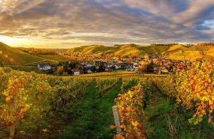 Alm-Atelier - Foto 15