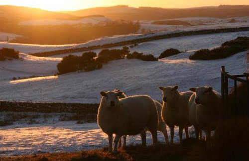 Stables House - Foto 37