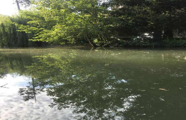 Holiday Home in Loubigne With Pool & Terrace - Photo 37