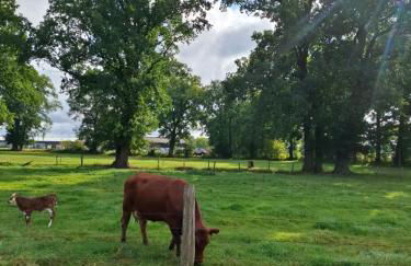 PRIMA Quartier - Foto 7