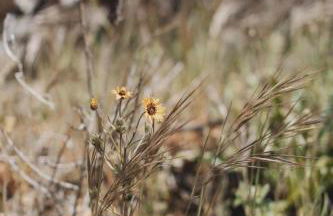 Secluded rustic 1-bedroom cabin on private land - Foto 9