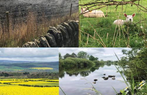 Stunning Studio in Corbridge, Northumberland - Foto 17