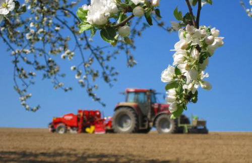Gschwandnerhof - Foto 27