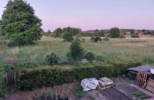 Agroturystyka Cisza Knyszyńska - Foto 28