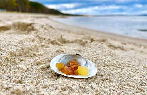 Ferienanlage in Klein Zicker Ferienwohnung 1 - Seeseite - Foto 35