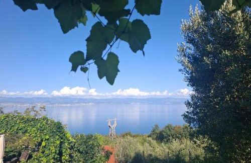 Apartments Blue & Green - Foto 12