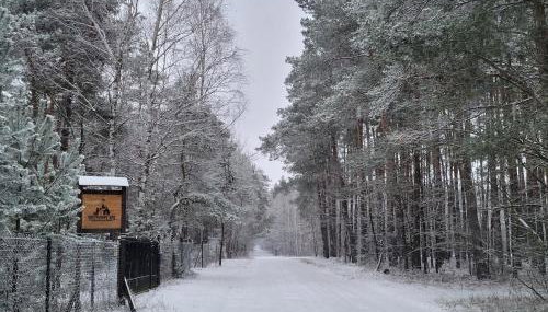 Sosnowy Raj domki nad rzeką Wkrą - Foto 2