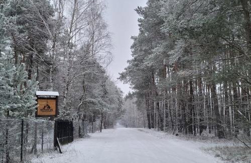 Sosnowy Raj domki nad rzeką Wkrą - Foto 2