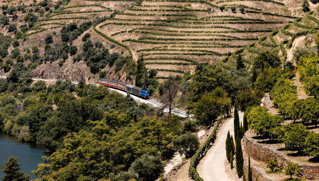 Visite privée de la région du Douro - Photo 3, Vous ferez une balade en train dans la région du Douro