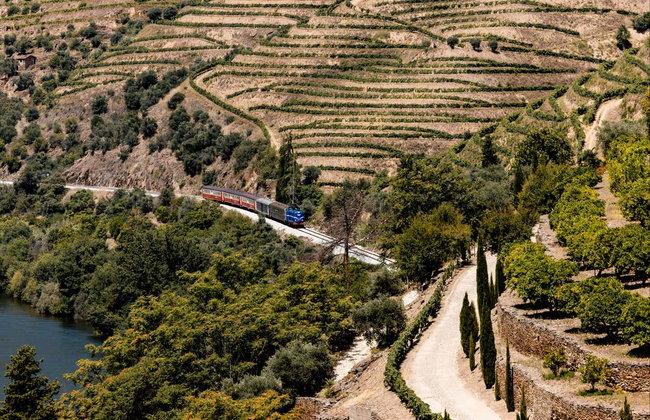 Excursão privada saindo do Porto - Foto 3