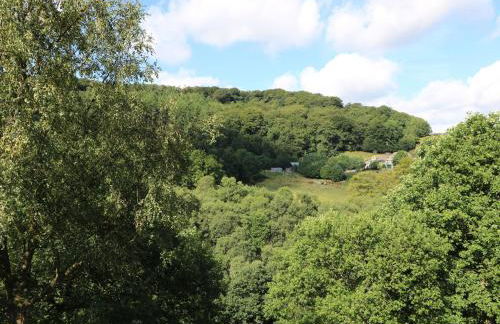 Victoria Wood View - Foto 25