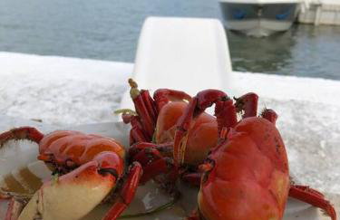 Studio Flat Gavoa Resort - Vista incrível de Itamaracá - Foto 8