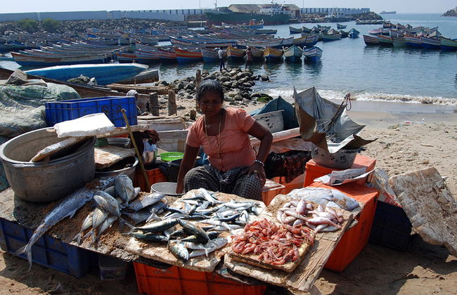 Visit to Fishermen Village at Vizhinjam - Photo 3