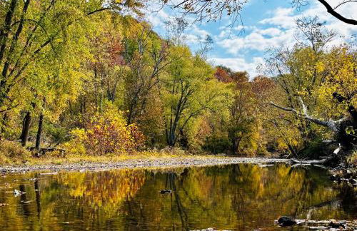 Wildflower Walk at Three Suns Cabins - Foto 21