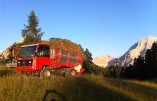 Alpinus Agriturism - Photo 68