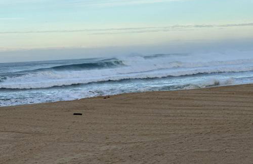 Appartement HOSSEGOR plage SUD Classé 3 étoiles - Foto 72