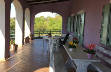 Agriturismo Renaccio - Foto 7