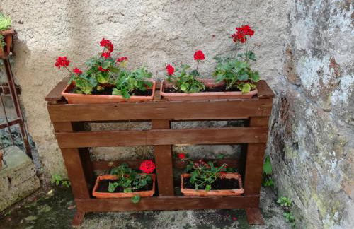 CasaVacanze Salza nel Borgo - Foto 19