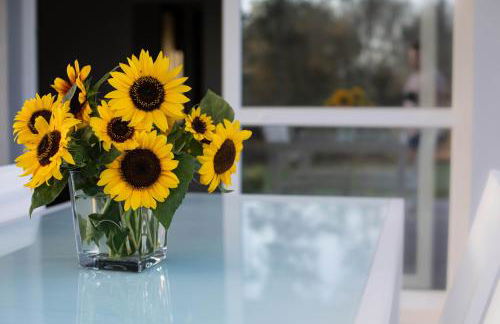 Appartamento Camisa - Il Fico - Foto 26