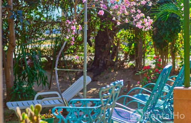 Villa in Cárdenas with swimming pool and garden - Photo 21