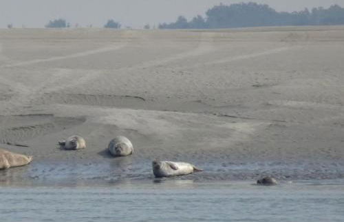 Villa Emilia - vue mer centre du village - Foto 52