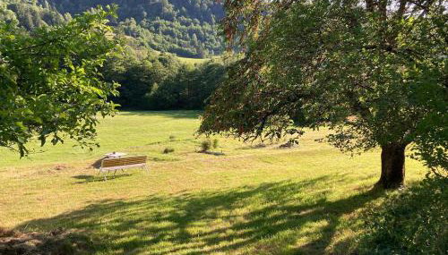Le Gîte d'Orion - Photo 3