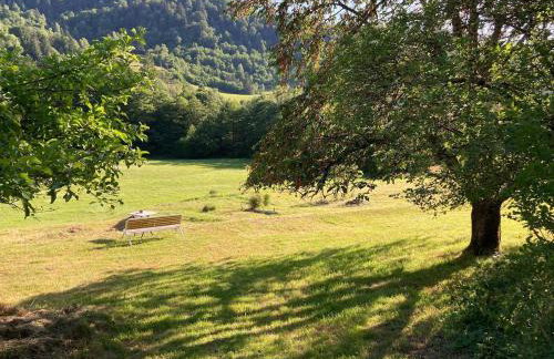 Le Gîte d'Orion - Photo 3