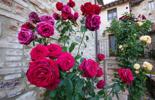 BorgoCuore - Foto 69