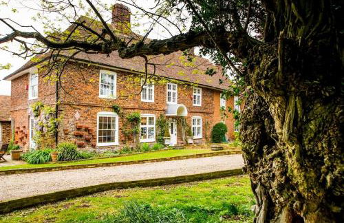 Molland Manor House Self catering (10 bedrooms 9 bathrooms) - Foto 2