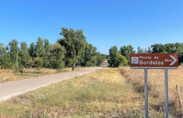 Monte de Bordalos - Foto 70