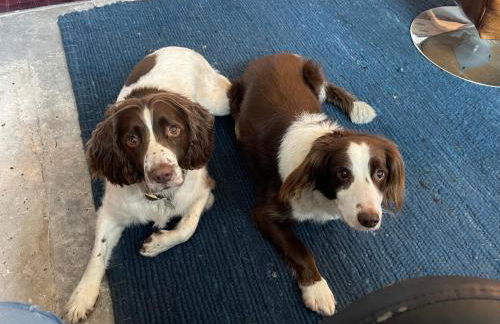 The Watchmakers Matlock - Foto 18