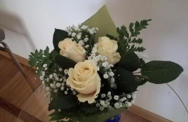 Casa Fresia - Foto 22