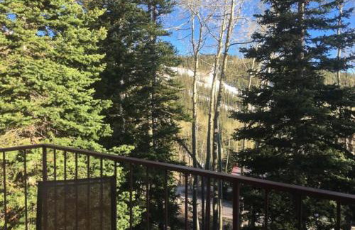 Eagle Point Ski Resort 8 Wooded Ridge Condos - Foto 30