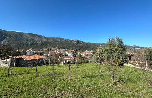 EVIA RIVIERA - Photo 44