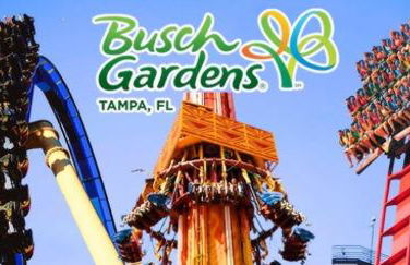 Beautiful home with large pool! Close to the beach! - Foto 38